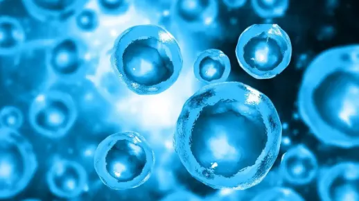 SLU-PP-332 Investigating Metabolic Flexibility | Shaanxi BLOOM Tech Co., Ltd SLU-PP-332 Investigating Metabolic Flexibility | Shaanxi BLOOM Tech Co., Ltd